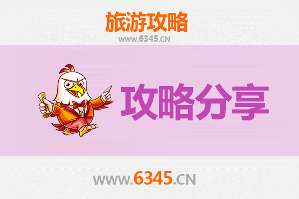 阳江江城至湄洲岛旅游攻略：跟团还是自由行？资深博主深度解析